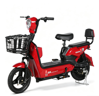 Vélo électrique 800W avec moteur sans balais, batterie lithium-ion/plomb-acide 48V, 3 vitesses, roues 14"/16", suspension arrière, écran numérique, vélo de ville