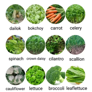Planteur de semences agricole à poussée manuelle semoir transplanteurs pièces de plantation de semences planteur de <span class=keywords><strong>pois</strong></span> semoir pelouse - Product Image 5