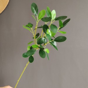 สเปรย์ <span class=keywords><strong>Ficus</strong></span> สีเขียวมันวาวเทียมใบใบ <span class=keywords><strong>Ficus</strong></span> สีเขียวแบบเต็มตัว - Product Image 6