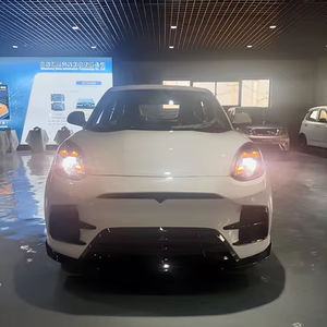 Mobil listrik <span class=keywords><strong>mini</strong></span> dengan kecepatan rendah dan harga murah untuk dua penumpang dewasa orang tua - Product Image 1