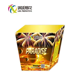 DC10163 0.8" 16shots fan cakes PARADISE 1.4G UN0336 Global Fireworks