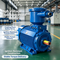 Motor Anti Ledakan 6KV 10KV Rumah Besi Cor Kelas F Isolasi Tahan Suhu Rendah Motor Anti Ledakan Tegangan Tinggi
