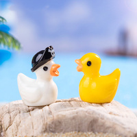 Mini Résine Pirate Canard Mini Résine Figurine Miniature Chiffres Minuscule Résine Canard En Vrac pour Maison De Poupée Micro Jardin Paysage Décor