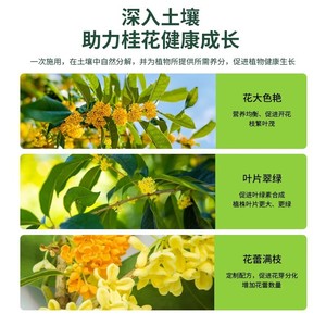 Fertilizante Orgánico Específico para Plantas de Jardín Osmanthus, Promueve la Floración y Previene el Amarilleamiento de las Hojas - Product Image 4