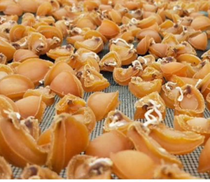 1KG Escargot de mer Haliotis Rubra naturel pur, écaillé, séché, viande <span class=keywords><strong>d</strong></span>'escargot de mer Haliotis Rubra pour fruits de mer - Product Image 6