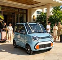 Quadricycle hybride rechargeable pour adultes avec climatisation, 2 portes, voiture électrique de taille moyenne, usage familial, moteur 3000W, autonomie 100 km, certifié CEE