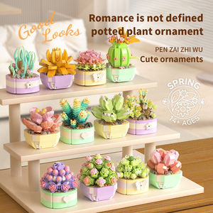 Ensemble de blocs de construction de plantes succulentes, jouet STEM, motricité fine, coordination œil-main, décoration de la maison, cadeau pour enfants - Product Image 2