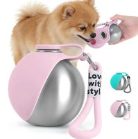 Bouteille d'eau portable pour chien 2 en 1, anti-fuite, en acier inoxydable, distributeur d'eau de voyage pour animaux de compagnie avec bol pliable en silicone pour la promenade