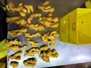 新鮮ジンジャー10kg/カートン中国風乾燥新作物