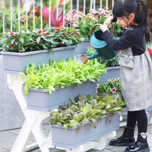 Support de présentation de plantes à 3 niveaux, étagère à fleurs pour la maison, support de rangement pour fleurs - Product Image 1