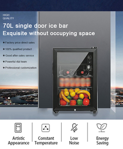 Prix de gros usine – Bar à glace portable 70L, style moderne, petite capacité, dégivrage manuel, 220V/50Hz, pour hôtel et usage domestique - Product Image 2