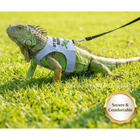 Harnais et laisse réglables pour reptiles et lézards, harnais de marche souple de type gilet pour dragon barbu