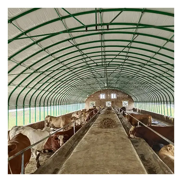 Prefabrik çelik yapı ucuz yeni tasarım inek çiftliği bina sığır döken