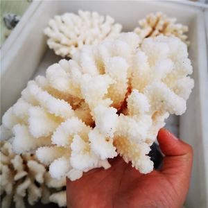 <span class=keywords><strong>Cristalli</strong></span> Naturali Grezzi all'Ingrosso, <span class=keywords><strong>Pietre</strong></span> <span class=keywords><strong>di</strong></span> Quarzo Cristallino, Esemplare <span class=keywords><strong>di</strong></span> Corallo Bianco - Product Image 4