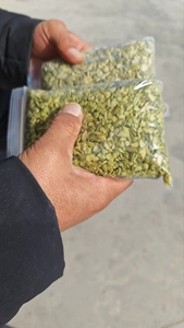 <span class=keywords><strong>Semi</strong></span> <span class=keywords><strong>di</strong></span> <span class=keywords><strong>zucca</strong></span> schiacciati - Product Image 2