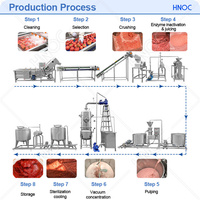 HNOC Sachet Tomatensaus Productiemachine Tomatenpuree Productielijn Tomatenpuree Maakmachine
