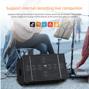 Altavoces de escenario inalámbricos portátiles-Sistema personalizable para eventos de DJ de escenario al aire libre - Product Image 6