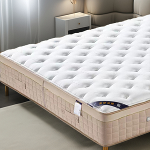 Chuyên Nghiệp Khách Sạn Cấp Lai Nệm Hiện Đại Nữ Hoàng Kích Thước Túi Mùa Xuân Bộ Nhớ Bọt Dệt Kim Vải Bìa 10-Năm Bảo Hành - Product Image 1