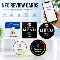 Etiquetas Mini RFID de PVC Resistentes al Agua/Intemperie, Personalizadas al por Mayor, ISO NFC215/213/216, para Redes Sociales, Comentarios, Pagos y Tarjetas de Visita