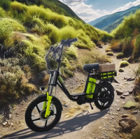 Vélo électrique à double batterie haute puissance de 18 pouces avec capteur de vitesse 60V/15AH 500W Support électronique intelligent Grande capacité de charge