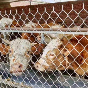 รั้วตาข่ายลวดสำหรับสุนัขและกรงสัตว์เลี้ยง ขนาด 6x6 6x10 8x10 ฟุต แผงตาข่ายชุบสังกะสีสำหรับกรงสัตว์กลางแจ้ง - Product Image 4