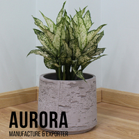 Prix de gros Vente directe d'usine Pots de fleurs et jardinières en béton et en ciment Jardinières pour plantes d'intérieur Emballage personnalisé