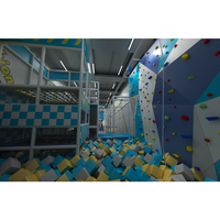 Équipement de terrain de jeu intérieur commercial, thème princesse/fantaisie, trampoline, fosse de mousse haute densité, mur d'escalade, parcours ninja