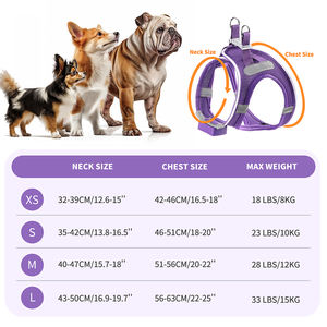 Kasa Logo kustom tipe-c dapat diisi ulang rompi hewan peliharaan Led dapat bernafas <span class=keywords><strong>Harness</strong></span> anjing untuk anjing kecil dan <span class=keywords><strong>Mini</strong></span> - Product Image 5