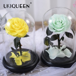 Aniversario, <span class=keywords><strong>Bella</strong></span> <span class=keywords><strong>bestia</strong></span> romántica, flor para siempre, encantada, Mini cúpula <span class=keywords><strong>de</strong></span> cristal, rosas eternas que dura más <span class=keywords><strong>de</strong></span> un año - Product Image 3