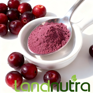 Chiết xuất quả nam việt quất hữu cơ USDA bán chạy nhất, bột quả nam việt quất, bột chiết xuất nam việt quất chất lượng cao - Product Image 1