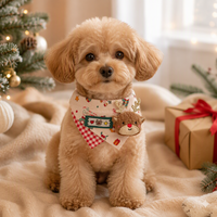 Écharpe triangulaire de Noël pour animaux de compagnie, accessoire photo pour chat et chien, costume de festival, origine Chine, vente en gros B2B