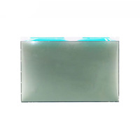 Kundenspezifisches HTN-Positivtransmissives Segment-LCD-Display für Kraftstoffspender mit Symbolleiste und LPM-Dichtezeichen