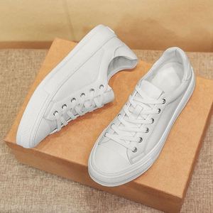 Chaussures décontractées en maille pour hommes, respirantes, légères, anti-odeur, de haute qualité, confortables, à lacets, style skate, tendance printemps - Product Image 6