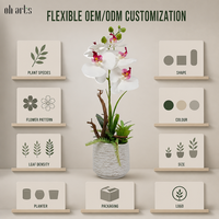 Orchidée Phalaenopsis Artificielle de Luxe Moderne au Toucher Réel, Bonsaï, Impression 3D, Orchidée Papillon Réaliste dans un Vase en Céramique pour la Décoration
