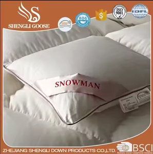 King Queen <strong>Double</strong> Custom Size Duck Down Quilt <strong>Feather</strong> Filling <strong>Duvet</strong> All Season Comforter Breathable Down Quilt - Product Image 3