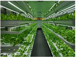 Étagère de plantation hydroponique Ferme verticale d'intérieur CEA <span class=keywords><strong>petite</strong></span> serre Table de culture Fruits verts à feuilles Légumes Usine de plantes - Product Image 4
