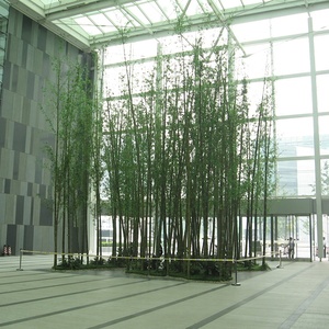 Plastique <span class=keywords><strong>vert</strong></span> Anti-décoloration, prix d'usine, en <span class=keywords><strong>bambou</strong></span> artificiel, décoration pour l'extérieur, offre spéciale - Product Image 2