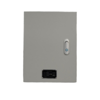Caja Combinadora Trifásica de CA para Paneles Solares Fotovoltaicos, Accesorios de Caja de Conexión de Energía, Caja de Hierro DC 2 Entradas 2 Salidas IP55 400V para Uso Exterior