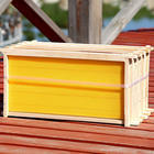 Kit de ruche Langstroth avec 5 cadres de fondation cirés et revêtus de cire pour l'apiculture