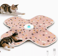 Cache-cache pour chat, jouet de chasse pour animaux de compagnie, jouet anti-ennui pour chats