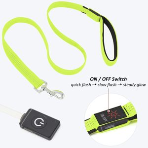 New Release USB Rechargeable LED <b>Dog</b> Leash Night Glow Dark <b>Light</b>-Up Feature 10 Hours Runtime Eco-Friendly Nylon Material Fashion - Product Image 3