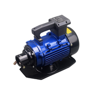 WOMA ZN-90S 2,2 kW Fabrik Direkt versorgung Elektro vibrator Motor Hersteller Dreh beton Vibrator