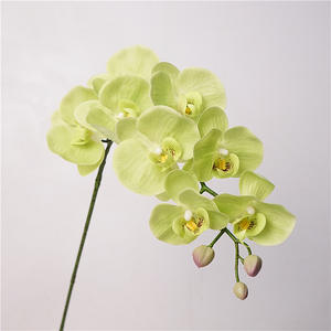<span class=keywords><strong>Haut</strong></span> <span class=keywords><strong>de</strong></span> <span class=keywords><strong>gamme</strong></span> 9 têtes réalistes tactile Phalaenopsis papillon <span class=keywords><strong>orchidée</strong></span> Morandi couleurs orchidées artificielles pour mariage saint valentin - Product Image 6