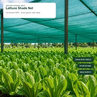 Filet d'ombrage en HDPE, protection UV, tissage résistant aux intempéries, toile d'ombrage pour pépinière commerciale, serre, semis