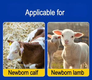 DEMA DMCH-220 Dayanıklı Galvaniz Çelik ve Polietilen H Tipi Dış Mekan Buzağı Kulübesi/Barınağı Yetiştirme Kafesi Kullanımı Kolay Yeni - Product Image 2