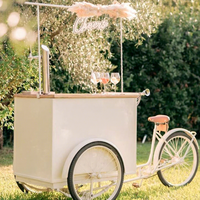 Chariot à glaces mobile en métal personnalisé, tricycle à glaces avec parasol