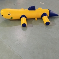 Toboggans gonflables pour adultes, qualité commerciale, PVC, utilisation intérieure ou extérieure, jeu aquatique pour fête