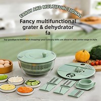 Fabrieksdirecte verkoop afdruipmand fruit groente dehydrator handmatige centrifugeer-afrander rasp sapcentrifuge multifunctionele groente