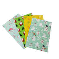 10*13 Farbige Poly-Versandtaschen A4 Kunststoff-Versandumschläge Kundenspezifische Polyethylen-Versandbeutel Polymailer mit Logo