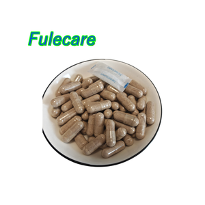 Alta Qualidade Private Label <span class=keywords><strong>Reishi</strong></span> Café em Cogumelo <span class=keywords><strong>Extract</strong></span> Capsule - Product Image 1